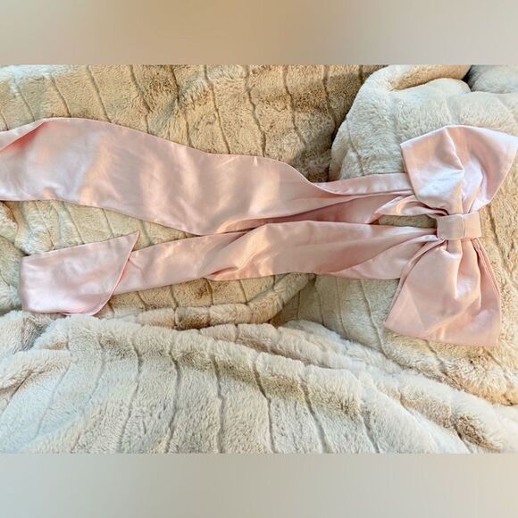 NWT REVOLVE Evianna Gown in Rosewater PinkMISHA Elegant Satin Evening Gown, XS - Picture 9 of 9